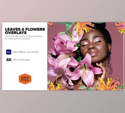 Download Leaves & Flowers Overlays (Videohive 40203359) - AE Project