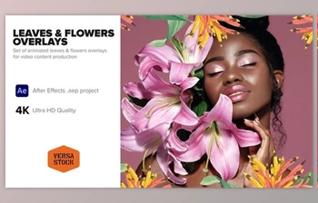 Download <span class='badge badge-warning'>Leaves</span> & Flowers Overlays (Videohive 40203359) - AE Project