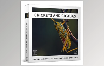 Download <span class='badge badge-warning'>Just</span> <span class='badge badge-warning'>Sound</span> <span class='badge badge-warning'>Effects</span> Crickets and Cicadas <span class='badge badge-warning'>WAV</span>-<span class='badge badge-warning'>ViP</span>