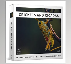 Download Just Sound Effects Crickets and Cicadas WAV-ViP