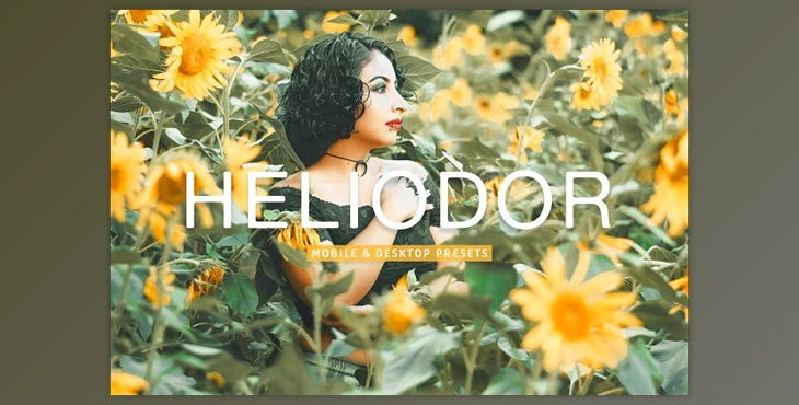 Download Heliodor Pro Lightroom Presets CreativeMarket - 10277029