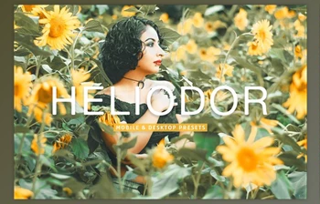 Download Heliodor Pro <span class='badge badge-warning'>Lightroom</span> Presets <span class='badge badge-warning'>CreativeMarket</span> - 10277029