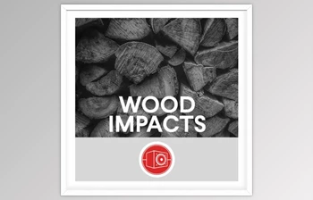 Download <span class='badge badge-warning'>Big</span> <span class='badge badge-warning'>Room</span> <span class='badge badge-warning'>Sound</span> – Wood Impacts <span class='badge badge-warning'>WAV</span>-<span class='badge badge-warning'>FANTASTiC</span>