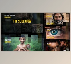 Download Memories Slideshow (Videohive 38060135) - AE Project