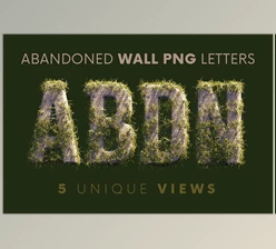 Download Abandoned Wall – 3D Lettering CreativeMarket - 10242107