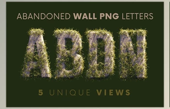 Download Abandoned Wall – 3D <span class='badge badge-warning'>Lettering</span> CreativeMarket - 10242107