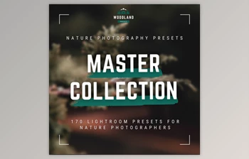 Download Woodland – Master <span class='badge badge-warning'>Collection</span> including Limited – <span class='badge badge-warning'>Lightroom</span> Presets Pack