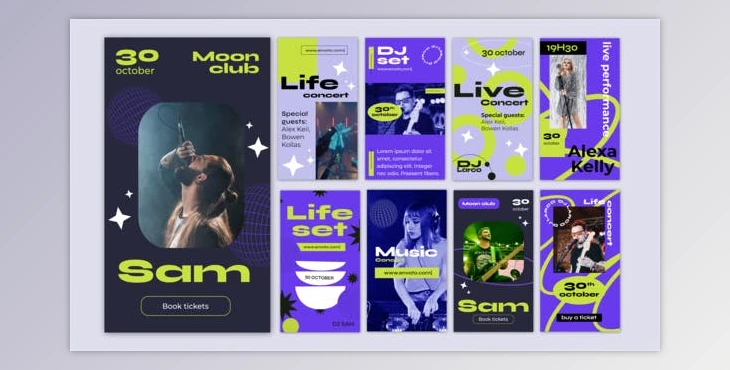 Download Live Music Festival Concert Instagram Stories (Videohive 40315037) - AE Project