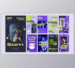 Download Live Music Festival Concert Instagram Stories (Videohive 40315037) - AE Project