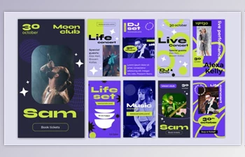 Download <span class='badge badge-warning'>Live</span> Music Festival Concert Instagram Stories (Videohive 40315037) - AE Project