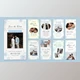 Download Wedding Invitation Instagram Stories (Videohive 40315769) - AE Project