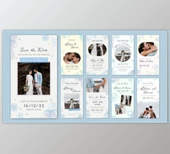 Download Wedding Invitation Instagram Stories (Videohive 40315769) - AE Project