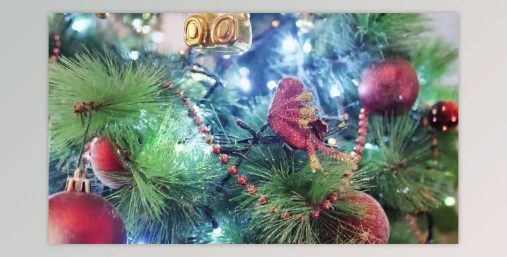 Download Christmas Night (Videohive 40270495)