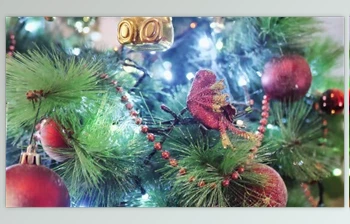 Download Christmas <span class='badge badge-warning'>Night</span> (Videohive 40270495)