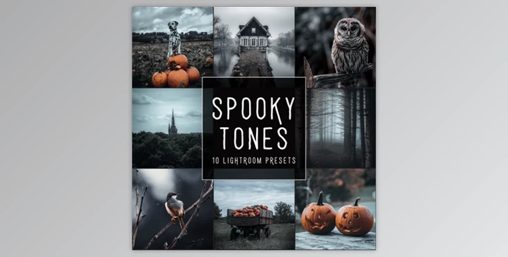 Download Woodland – Spooky Tones LIMITED Lightroom Presets Pack