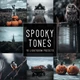 Download Woodland – Spooky Tones LIMITED Lightroom Presets Pack