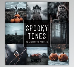 Download Woodland – Spooky Tones LIMITED Lightroom Presets Pack