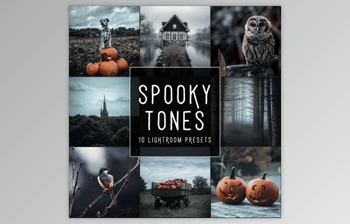 Download <span class='badge badge-warning'>Woodland</span> – Spooky Tones <span class='badge badge-warning'>LIMITED</span> <span class='badge badge-warning'>Lightroom</span> <span class='badge badge-warning'>Presets</span> <span class='badge badge-warning'>Pack</span>