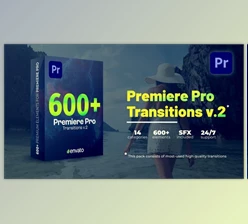 Download Transitions (Videohive 40276167) - PR Project