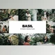 Download 20 Basil Lightroom Presets & LUTs U3F2WNV