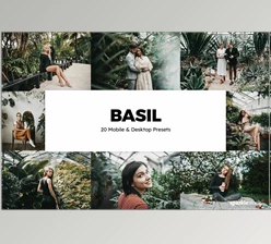 Download 20 Basil Lightroom Presets & LUTs U3F2WNV