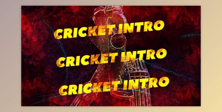 Download Cricket Intro (Videohive 36768957) - AE Project