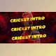 Download Cricket Intro (Videohive 36768957) - AE Project