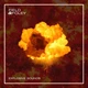 Download Field & Foley - Explosive Sounds - Samples & Loops