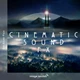 Download CINEMATIC SOUND FX 1 - Image Sounds
