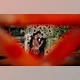 Download Handcrafted Wedding Collection – 40 Presets - Ayushtheartist