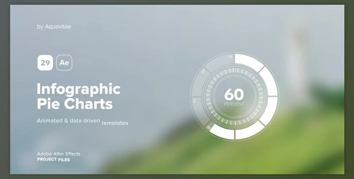 Download Infographic Pie Charts (Videohive 39699110) - AE Project