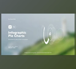 Download Infographic Pie Charts (Videohive 39699110) - AE Project