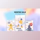 Download Winter sale - Instagram stories (Videohive 39986066) - AE Project
