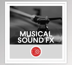 Download Big Room Sound Musical Sound Effects WAV-FANTASTiC