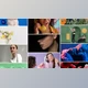 Download Multi Screen Transition (Videohive 39692433) - AE Project