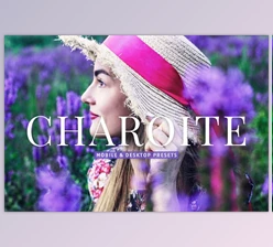 Download Charoite Pro Lightroom Presets Creativemarket - 10853057