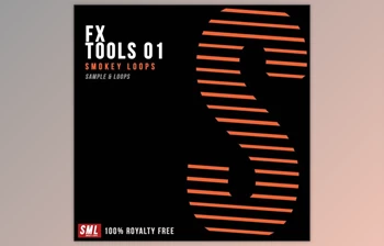 Download Smokey Loops <span class='badge badge-warning'>FX</span> Tools 01 <span class='badge badge-warning'>WAV</span>-RYZEN