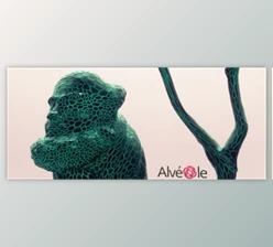 Download Vonc Alveole v1.0.3 for Cinema 4D