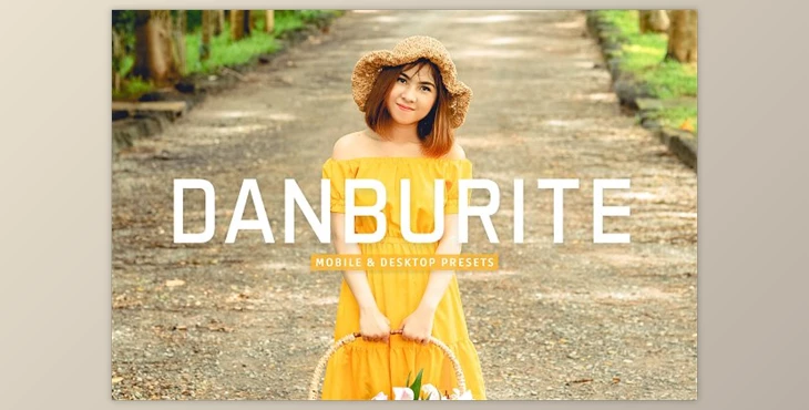 Download Danburite Pro Lightroom Presets CreativeMarket - 10881734