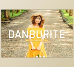 Download Danburite Pro Lightroom Presets CreativeMarket - 10881734