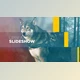 Download Fast Upbeat Slideshow (Videohive 13004572) - AE Project