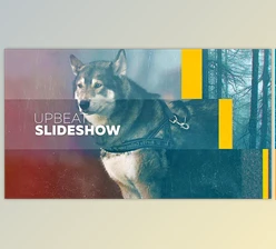 Download Fast Upbeat Slideshow (Videohive 13004572) - AE Project