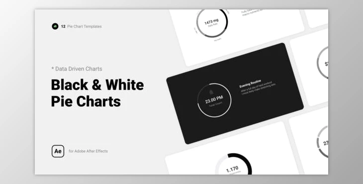 Download Black & White Pie Charts (Videohive 39852807) - AE Project