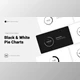 Download Black & White Pie Charts (Videohive 39852807) - AE Project