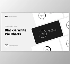 Download Black & White Pie Charts (Videohive 39852807) - AE Project