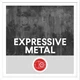 Download Big Room Sound Expressive Metal WAV-FANTASTiC