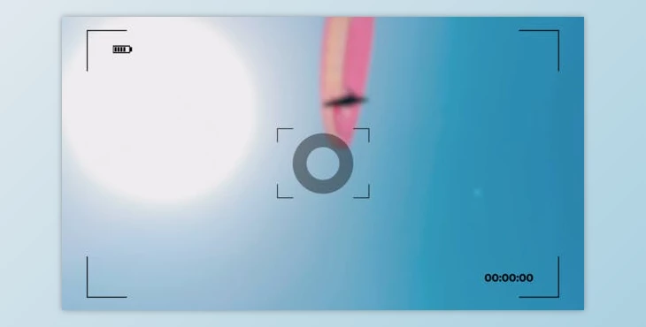 Download Camera interface transitions (Videohive 41584798) - AE Project