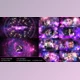 Download Horoscope Galaxy Slideshow (Videohive 33258564) - AE Project