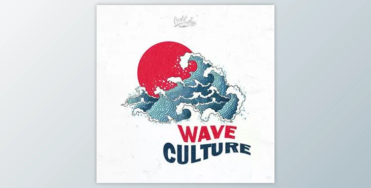 Download Cartel Loops Wave Culture
