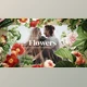 Download Flower Slideshow (Videohive 28784623) - AE Project